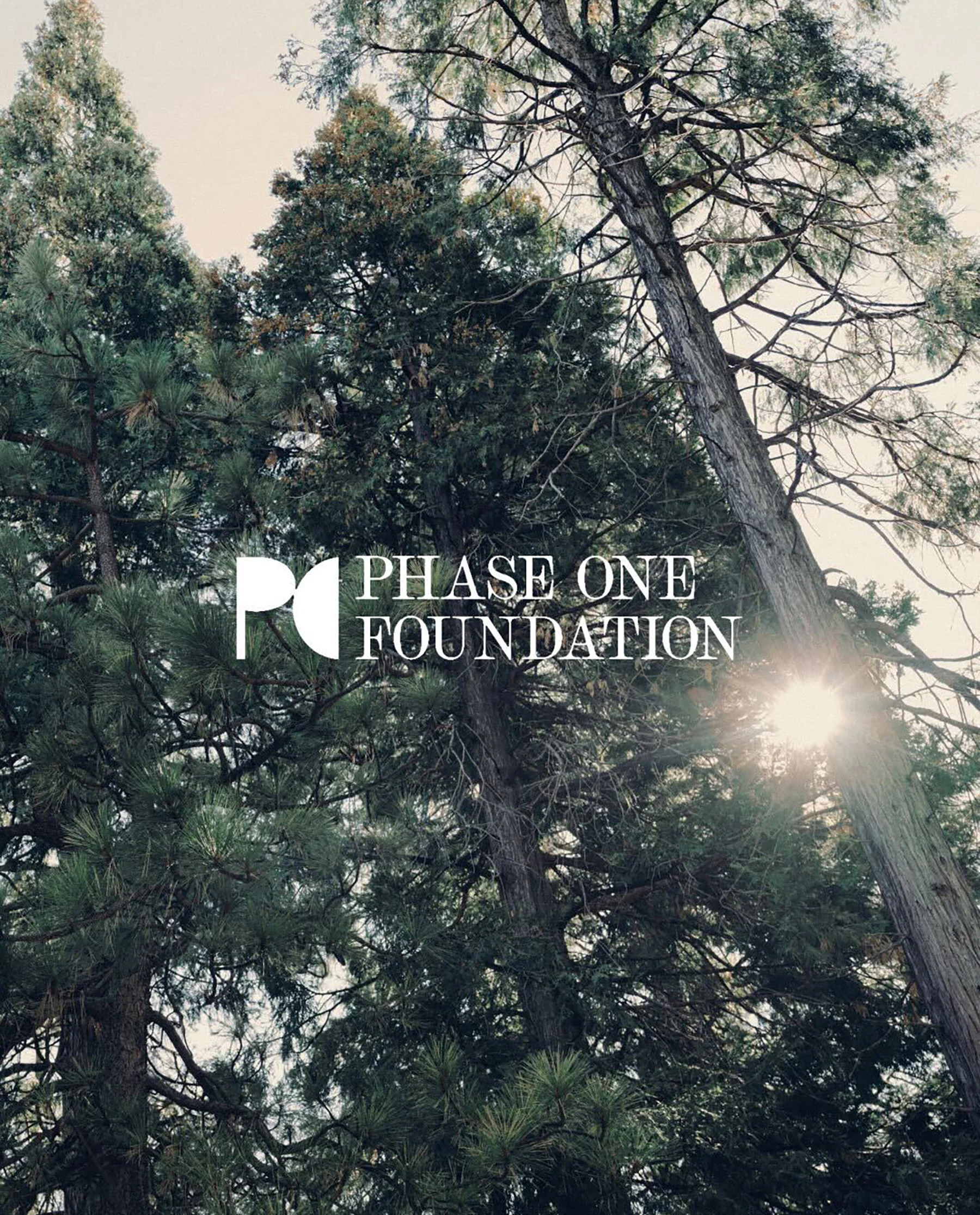 Phase One Donation Match